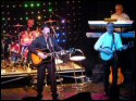 The Hollywood Bees Hollies Tribute