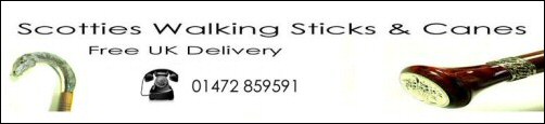 www.walking-canes-sticks.co.uk